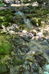 Steinbachtal bei Rudersberg