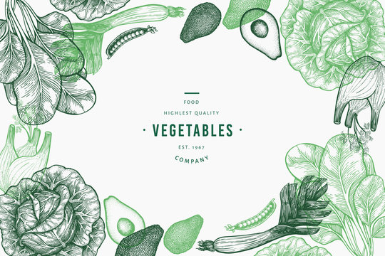 Green vegetables design template. Hand drawn vector food illustration. Engraved style vegetable frame. Retro botanical banner.