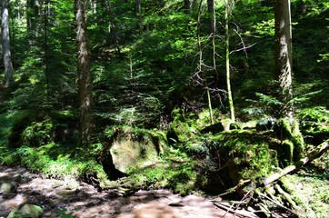 Steinbachtal bei Rudersberg