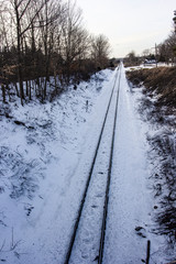Snow covered ground in the country. Railroad tracks divide the countryside. Tall barren trees, white clouds, and falling snow.
