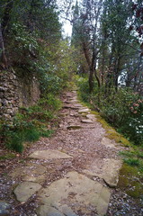 Path in the woods around the Le Celle Franciscan hermitage, Cortona, Tuscany, Italy