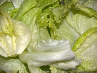 Frisch geernteter und gewaschener gr&uuml;ner Salat. 