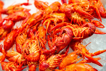 red boiled crayfish sold on fish and seafood market