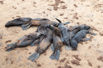 Waterhole in Etosha teeming with many different varieties of animals including, giraffe, zebra, springbok, Oryx