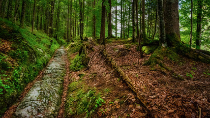 Römerweg in Klais bei Mittenwald