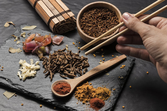 Person Picking Larvae With Sticks Close View