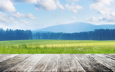 Wooden floor with Meadow with forest, mountain, blue sky and white clouds landscape in summer