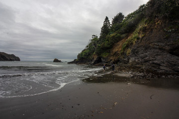 Dramatic white clouds as a backdrop for the tall steep cliffs that border the Pacific Ocean's gentle waves, & golden shores. Tall green trees, shrubs, & red flowers fill the mountain side. 