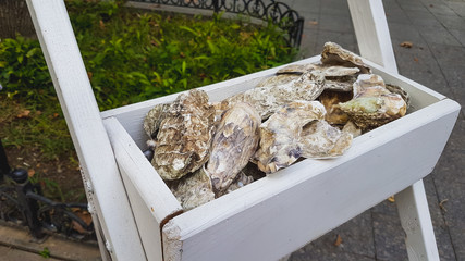 Fresh sea oysters in a street restaurant