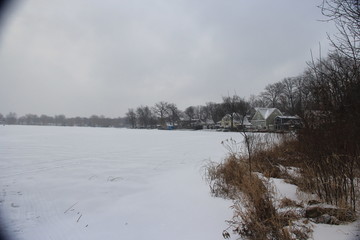 Snow coveredd frozen lake on a snowy day. Cloud filled skies. Dried orange/red, dormant plants, baren trees & lake front cottages bordering the lake.