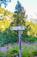Information sign in Alps near Chamonix, France. Translation: Lac Blanc - Lake Blanc, La Fregere - Fregere cable car. The tourist sign specifies directions, time and marking. Dogs prohibited sign