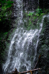 high waterfall in dark forest dark green plants around, logs below of waterfall