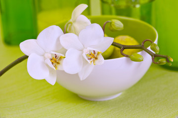 Obraz na płótnie Canvas Zen Style Flower Still Life With Orchid