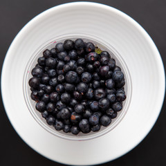 Blueberries in a white plate on a black background