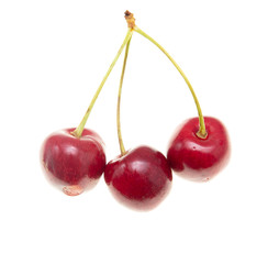 Ripe cherry berries on a white background