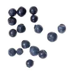 Ripe blueberries on a white background