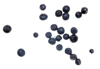 Ripe blueberries on a white background