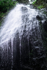 high waterfall in dark forest dark green plants around, logs below of waterfall