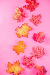 Simple autumn leaves pattern