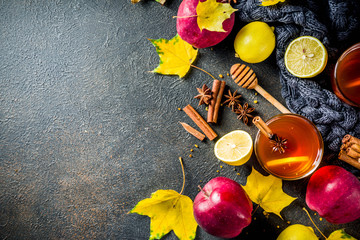 Autumn winter hot spicy tea