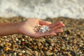 The small shells in the arm. Vacation at sea, pebbles seashore. Travel concept.