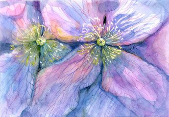 Flowers, botanical illustration, watercolor - 283476477