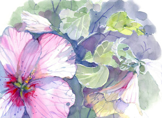 Flowers, botanical illustration, watercolor - 283476483
