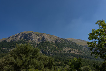 Mountains of the National Park of Abruzzo, Lazio and Molise.  Val Fondillo. Wonderful summer...