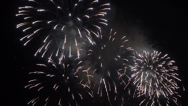 Static shot of fireworks exploding in the dark sky