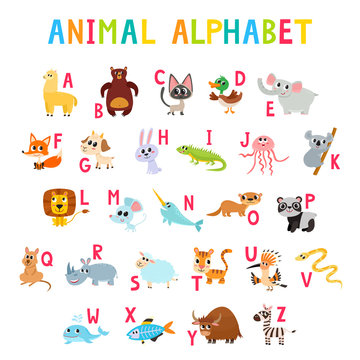 Cute cartoon animals alphabet for children education isolated on white.