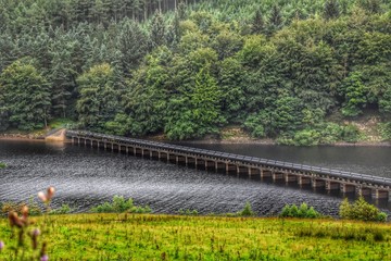 bridge over the river