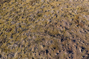 Deforestation aerial drone shot