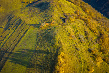 Drone view of autumn meadow and forest