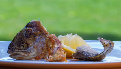 The leftovers of a food with fried fish. Concept healthy food.