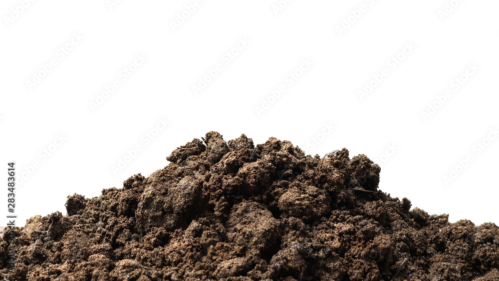 Wall mural pile of soil isolated on pure white background with ground suitable for growing plants or gardening.