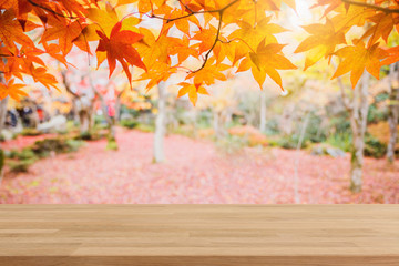 Empty wood table top and blurred autumn tree and red leaf in the park banner background - can used...