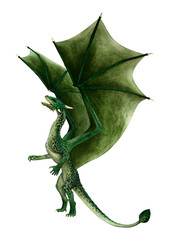 Fototapeta premium 3D Rendering Fairy Tale Dragon on White