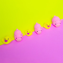 Rubber Toys Piglets and ducks on colorfull background. Minimal flat lay art