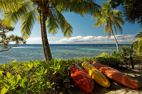Tropical island holiday, a beach with palm trees on the south pacific island of Tonga.
