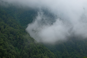 Clouds lie on the green mountain slopes of Omalo, Tusheti, Georgia