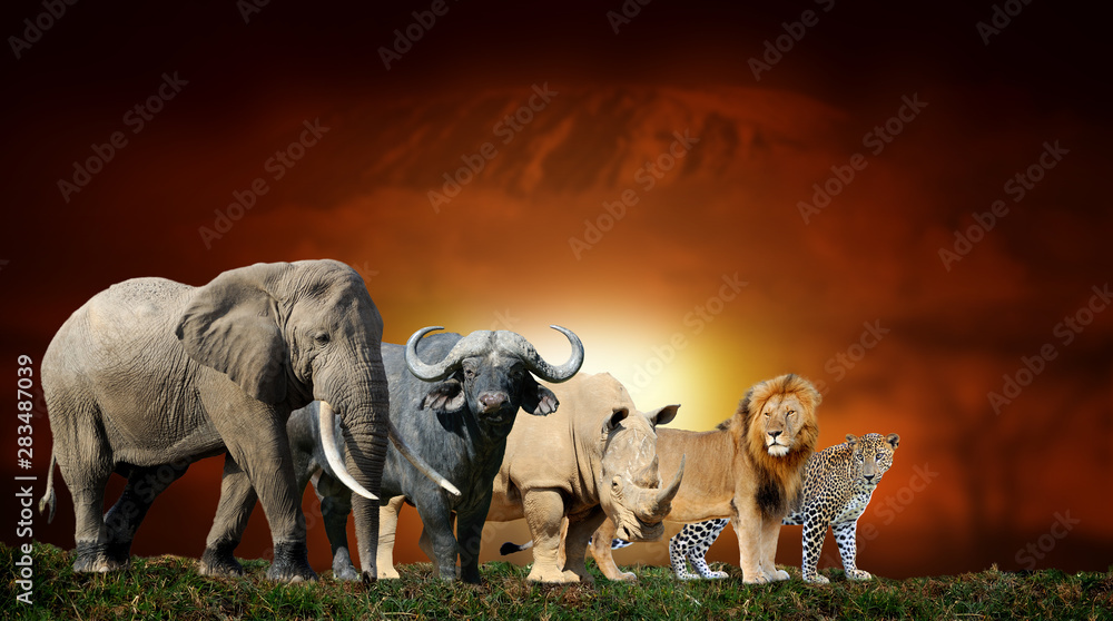 Sticker Big five on savanna landscape background and Mount Kilimanjaro at sunset