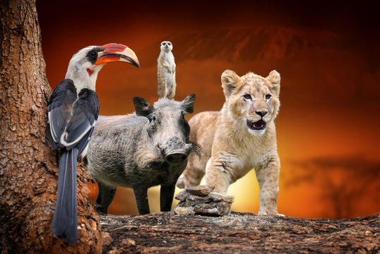 African animals on savanna landscape background and Mount Kilimanjaro at sunset