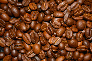 Roasted Coffee Beans