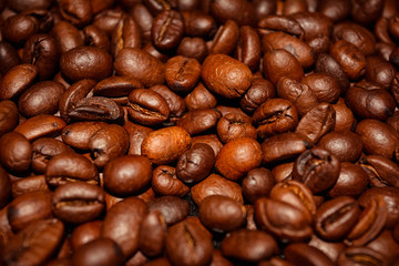 Roasted Coffee Beans