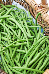 Récolte de haricots verts