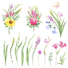Wildflowers set with bouquets and design elements meadows. Floral collection of flowers, grasses, leaves and branches. Vector illustration in watercolor style on white background.