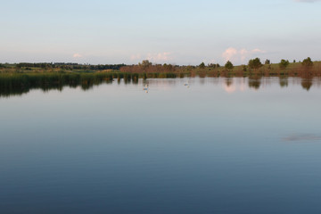 Calm lake at sunset with swans