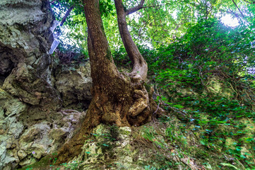 Vistdal sentiero 247G li Vurgacci a Pioraco nelle Marche in Italia