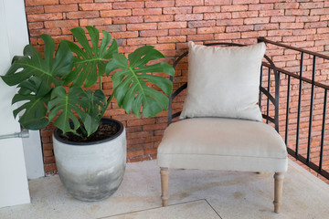 Tropical green plant pot interior