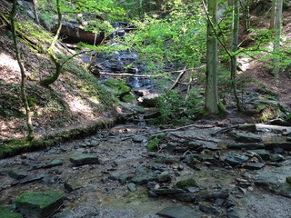 wasserfall mit fluss im wald